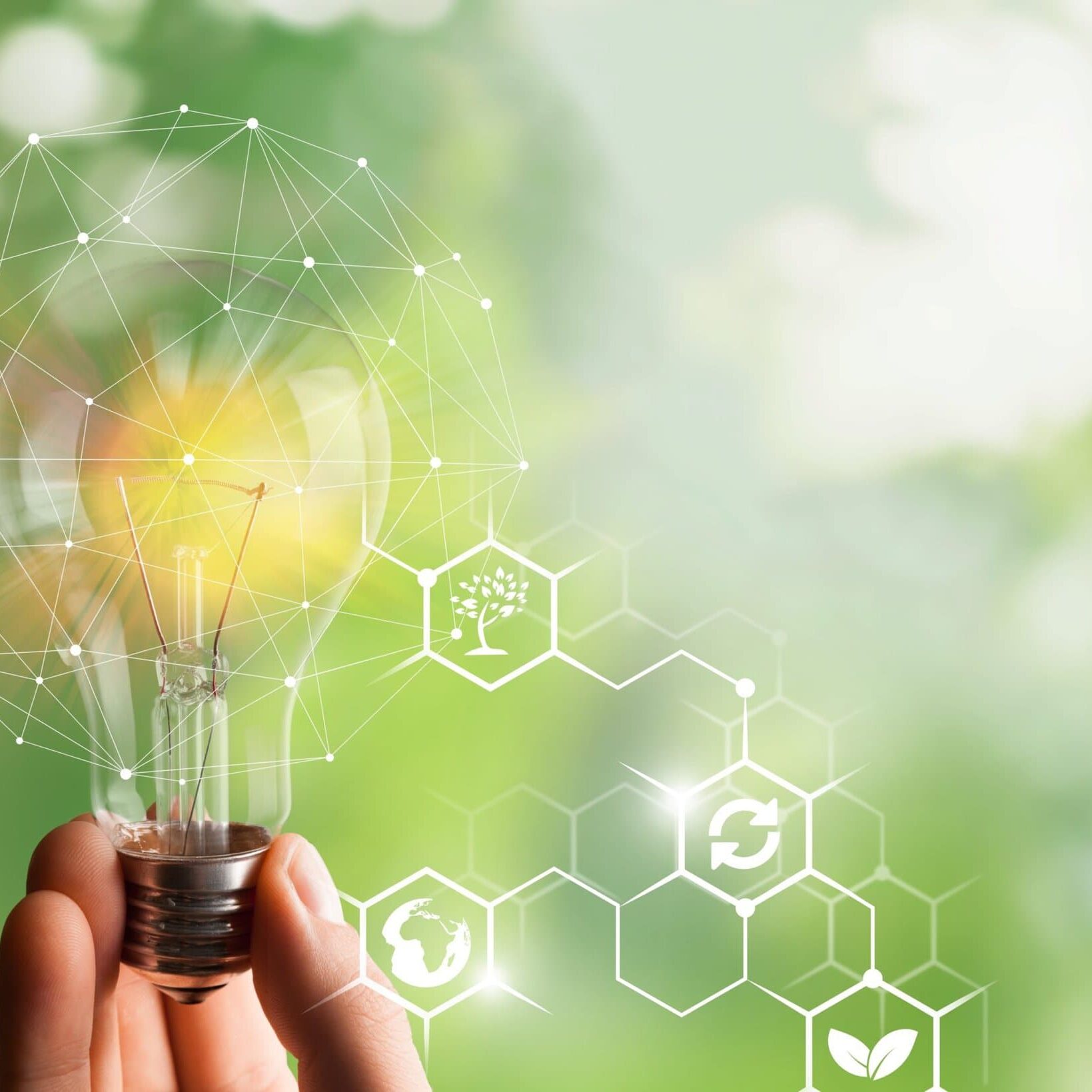 Hand holding light bulb ideas on a background of blur green trees Hand holding light bulb ideas on a background of blur green trees