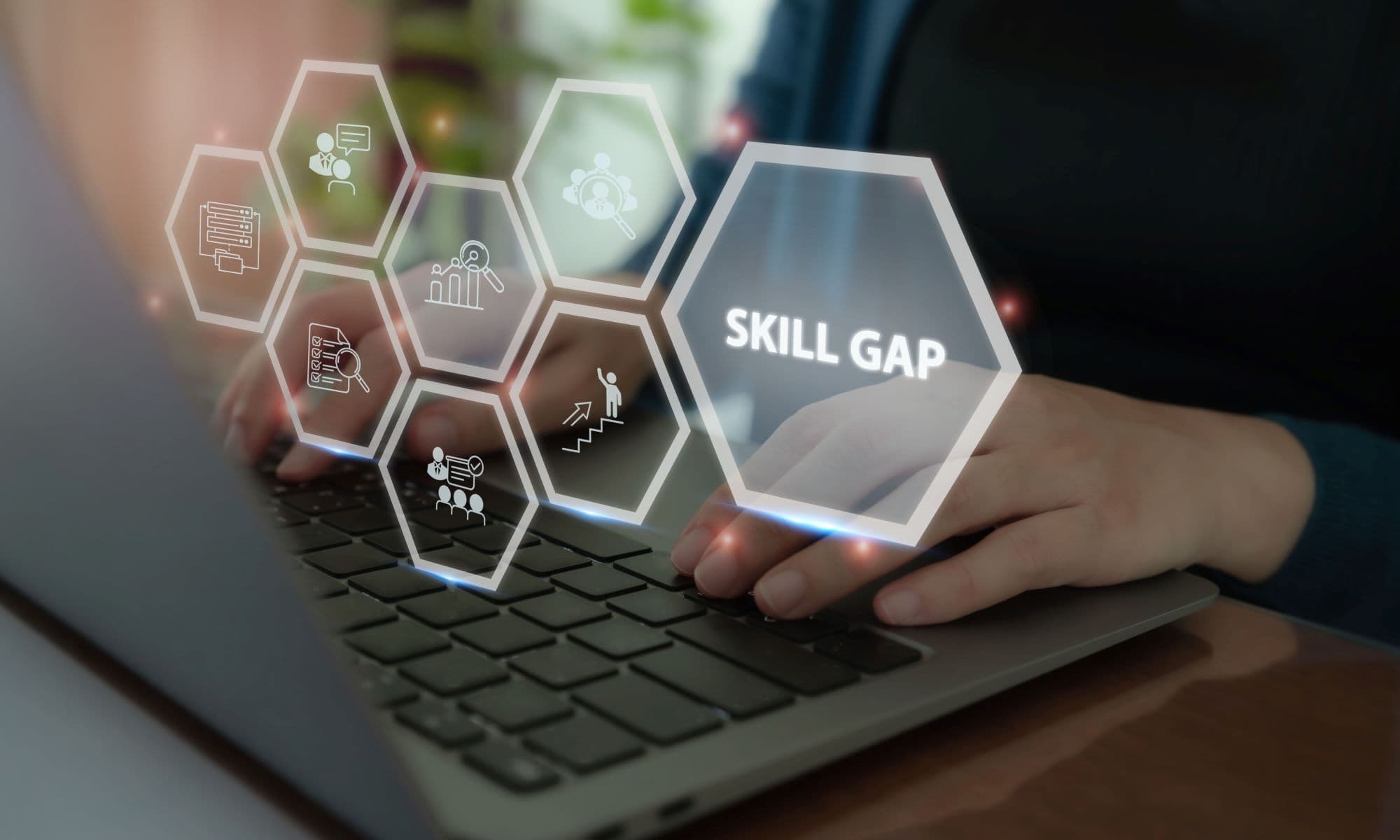 skills dev skills dev