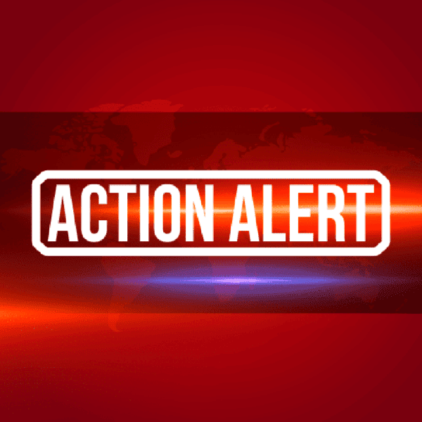 Action-Alert3 Action Alert